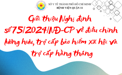 Giới thiệu Nghị định số 75/2024/NĐ-CP về điều chỉnh lương hưu, trợ cấp bảo hiểm xã hội và trợ cấp hằng tháng